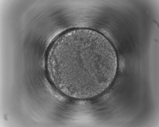 X0000102530584200808291822