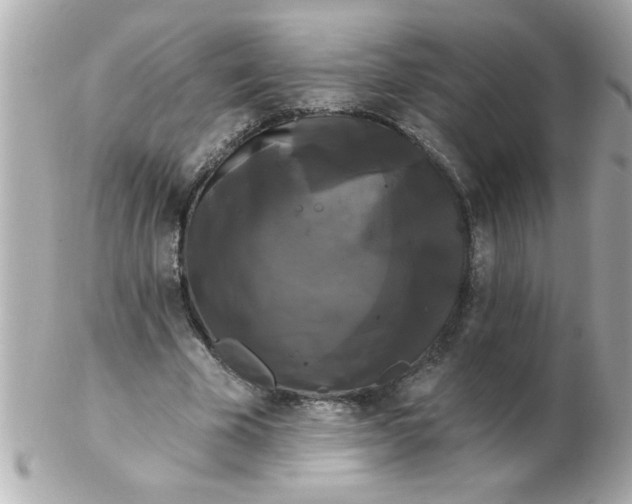X0000102530585200808291822