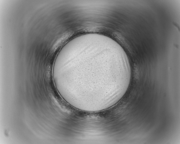 X0000102530586200808291822