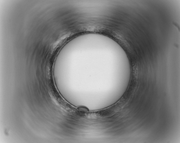 X0000102530587200808291822