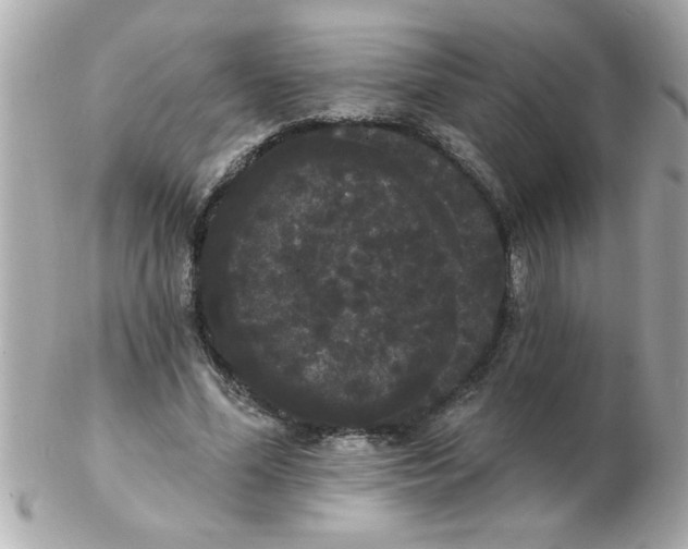 X0000102530588200808291822