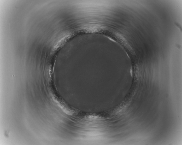 X0000102530590200808291822