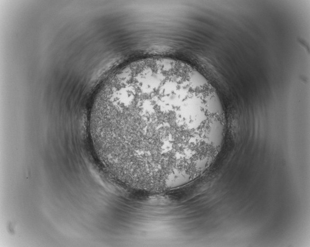 X0000102530591200808291822