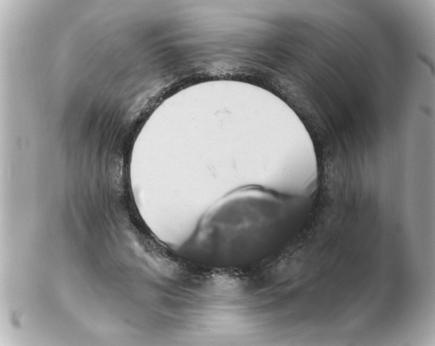 X0000102530592200808291822