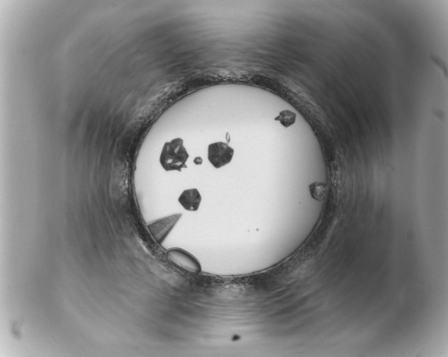X0000102530593200808291822