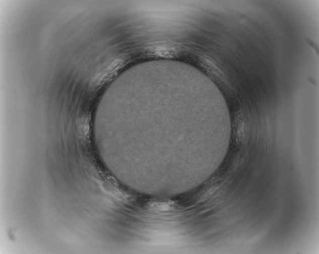 X0000102530595200808291822