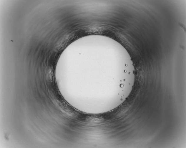 X0000102530597200808291822