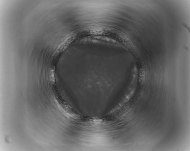 X0000102530598200808291822