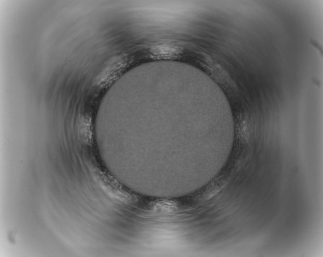 X0000102530599200808291821