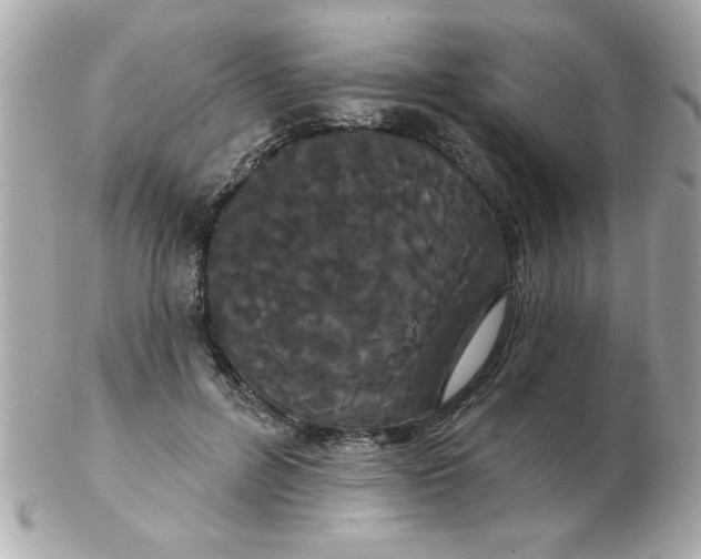 X0000102530600200808291821