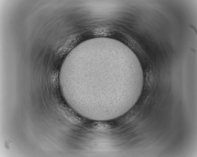X0000102530601200808291821