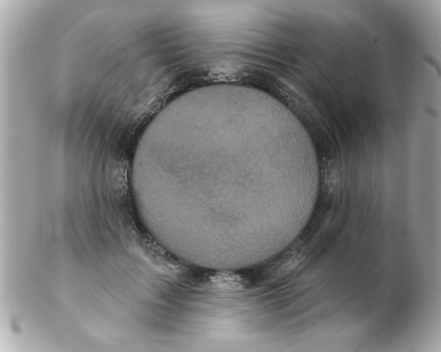 X0000102530603200808291821