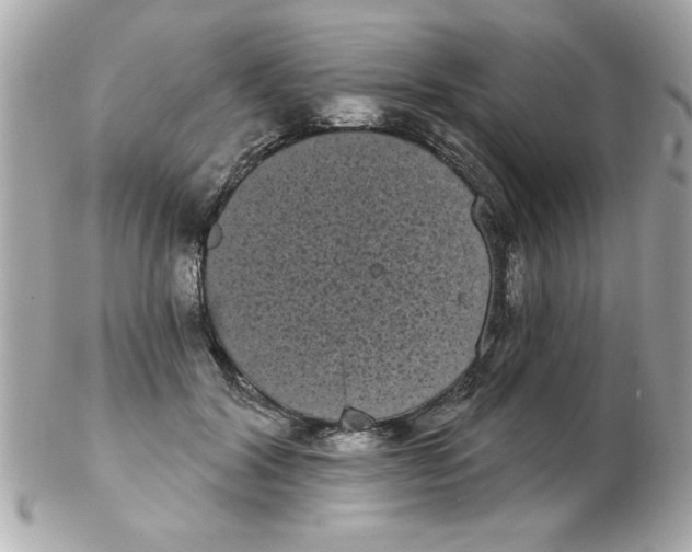 X0000102530604200808291821