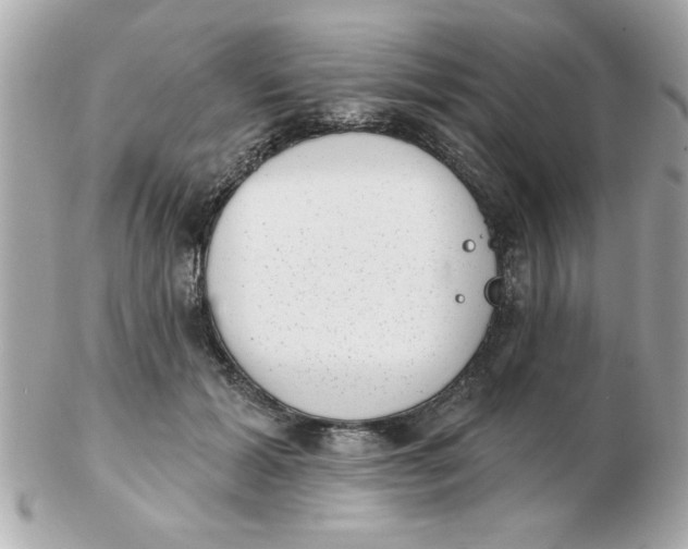 X0000102530605200808291821