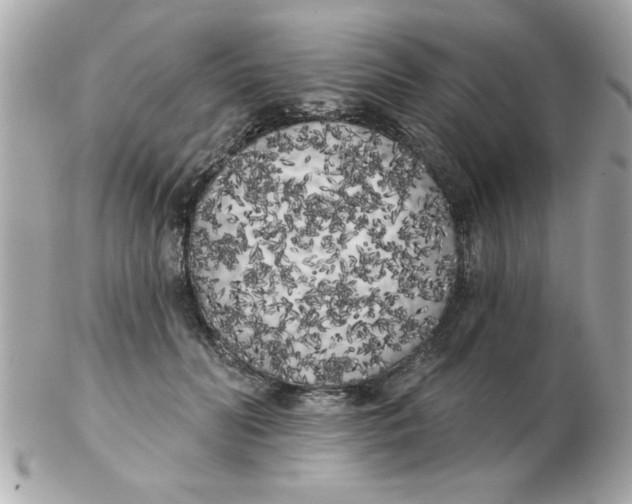 X0000102530606200808291821