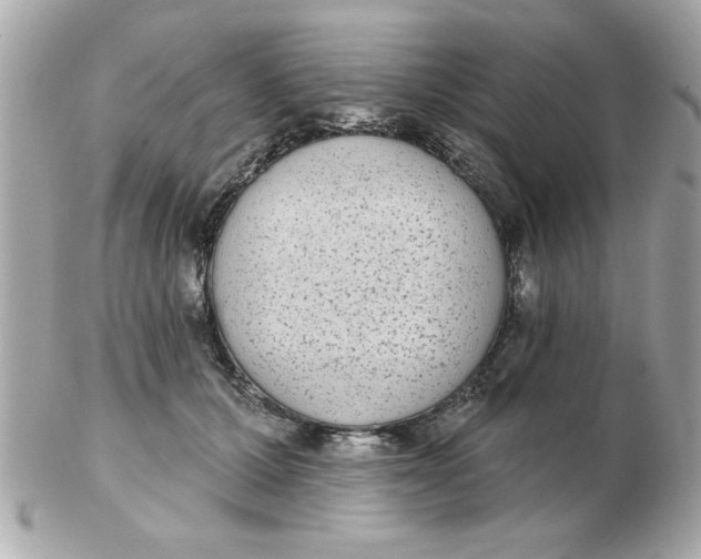 X0000102530607200808291821