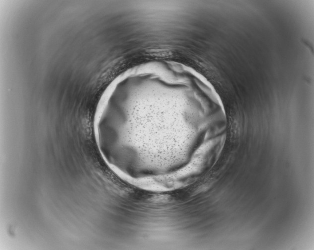 X0000102530609200808291821
