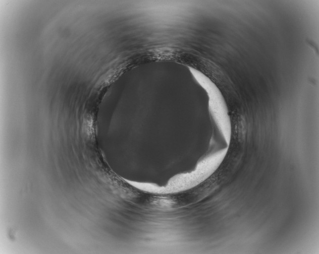 X0000102530610200808291821