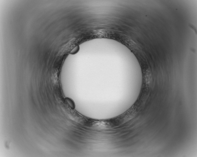 X0000102530611200808291821