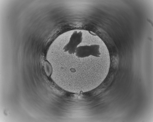 X0000102530612200808291821