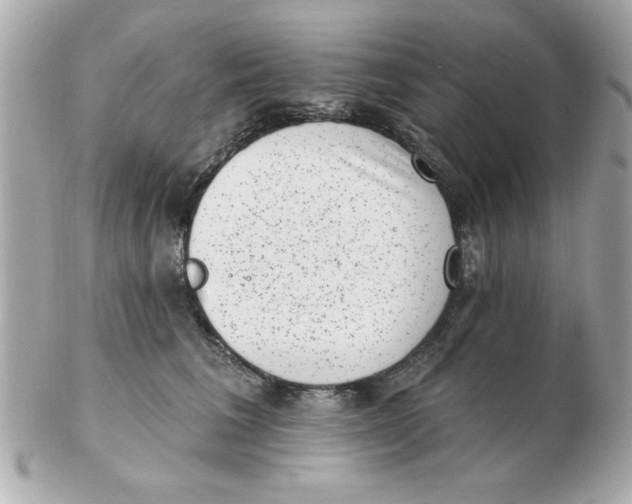 X0000102530613200808291821