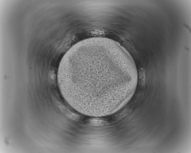 X0000102530614200808291821