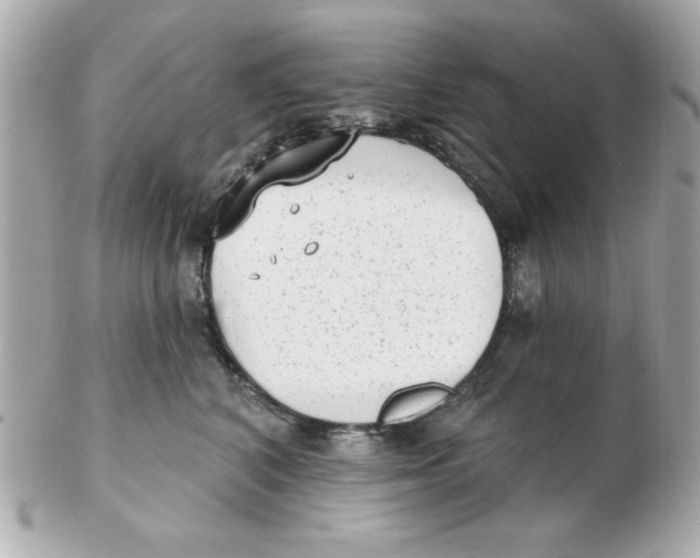 X0000102530616200808291821
