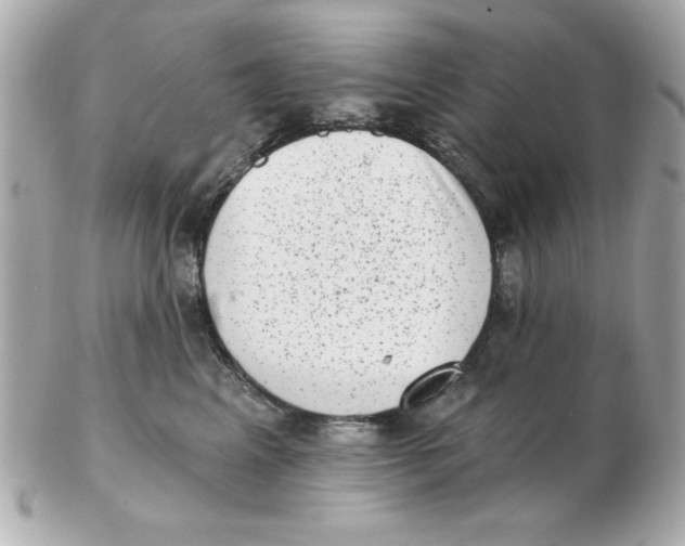 X0000102530617200808291821