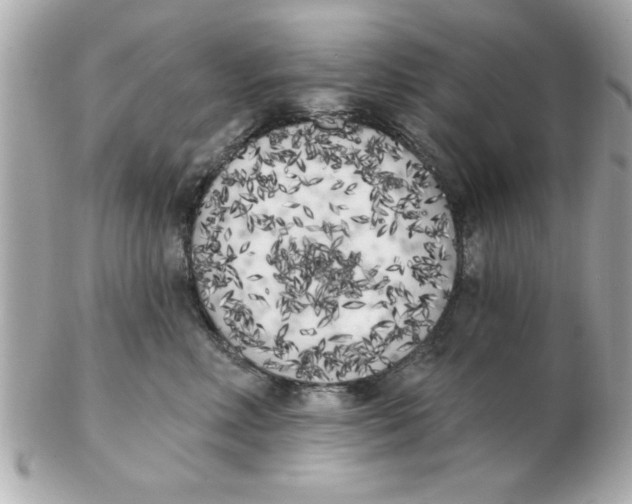 X0000102530618200808291821