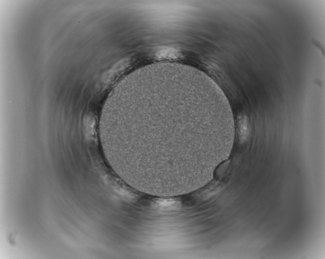 X0000102530619200808291821