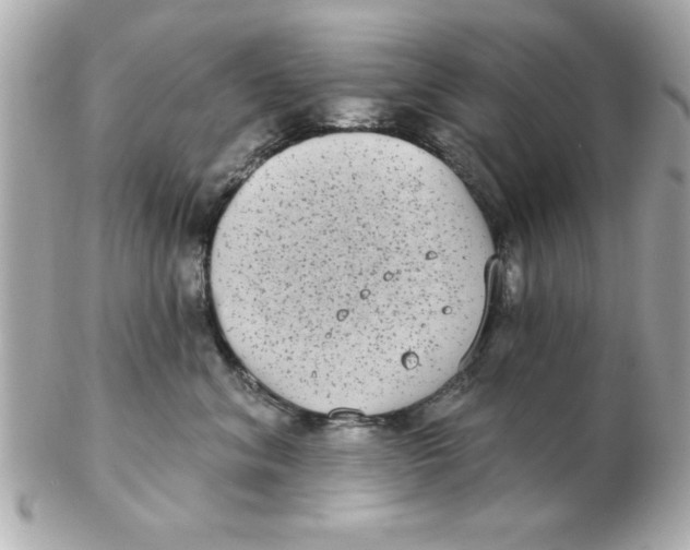 X0000102530620200808291821
