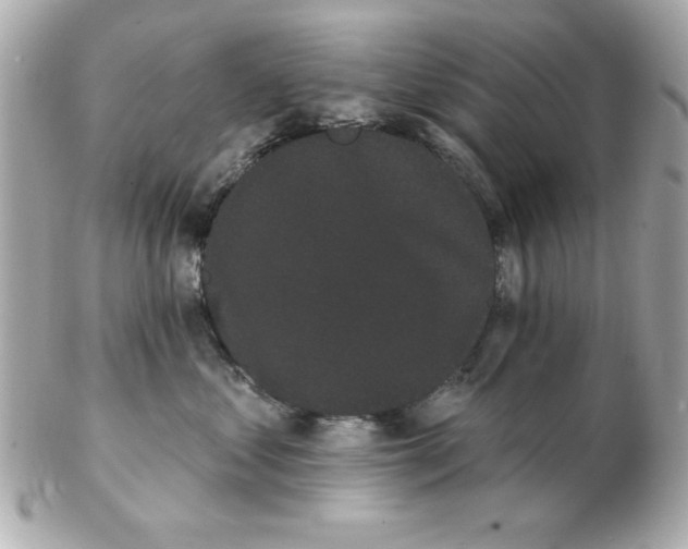 X0000102530621200808291821