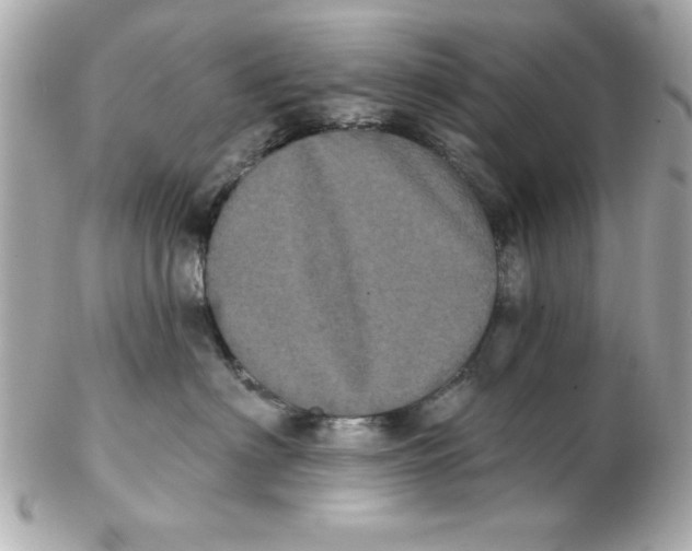 X0000102530622200808291821