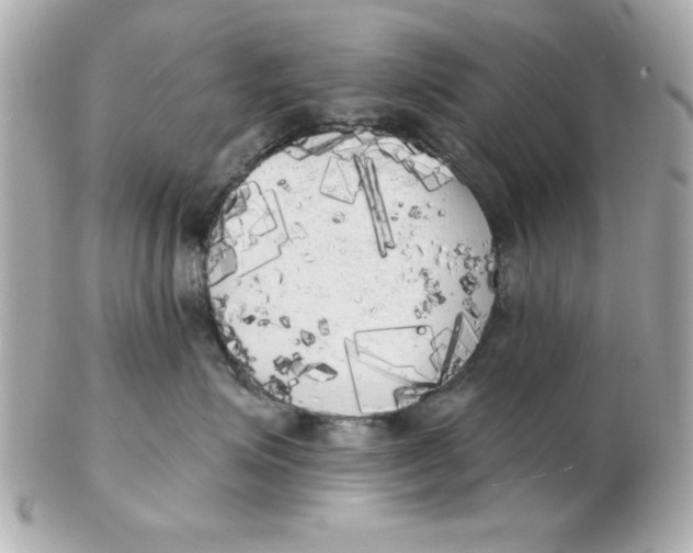 X0000102530623200808291821