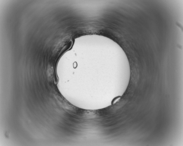 X0000102530624200808291821