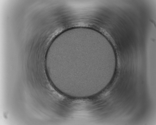 X0000102530625200808291820