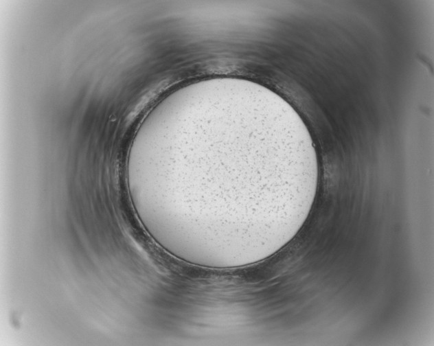 X0000102530626200808291820