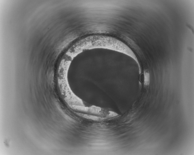 X0000102530627200808291820