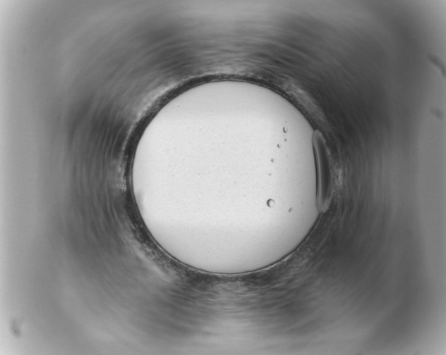X0000102530628200808291820