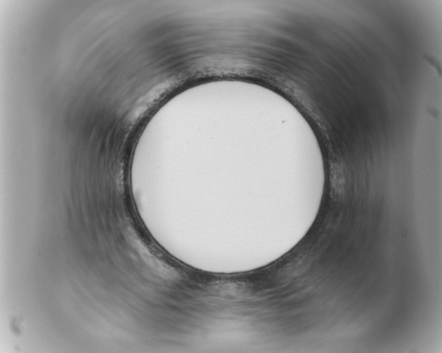 X0000102530629200808291820