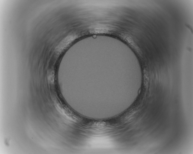 X0000102530631200808291820