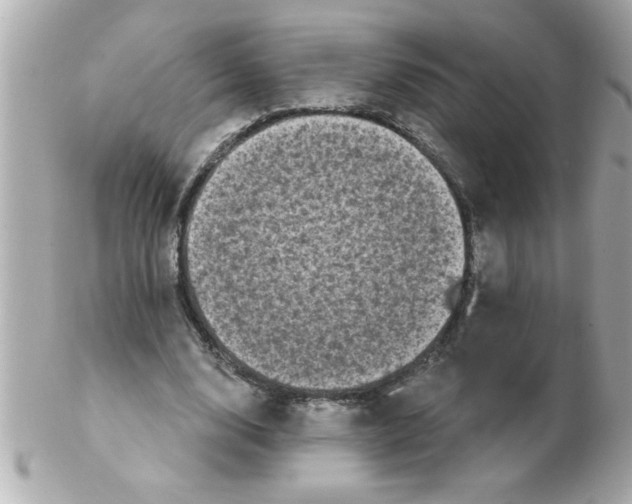 X0000102530632200808291820