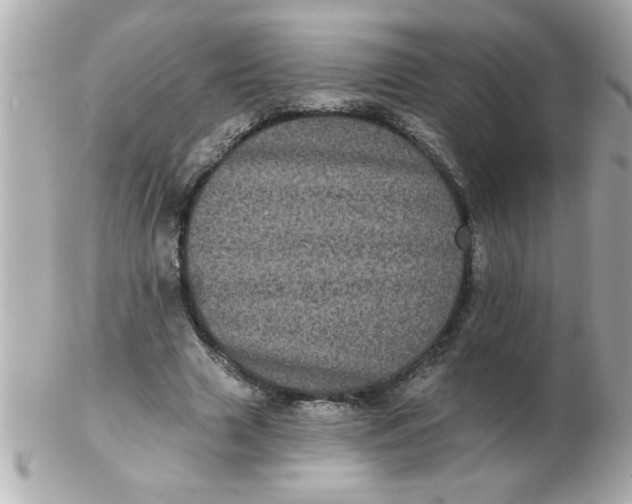 X0000102530633200808291820