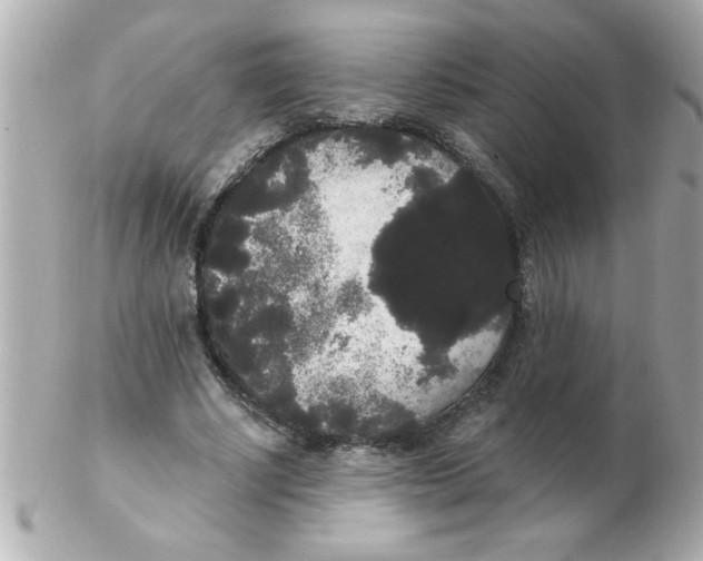 X0000102530634200808291820
