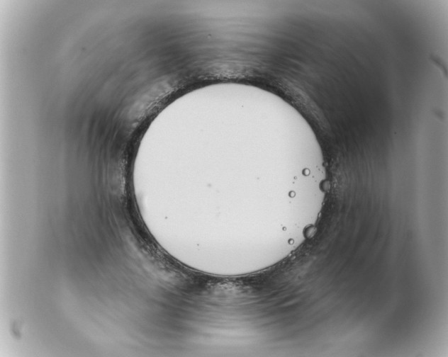 X0000102530635200808291820