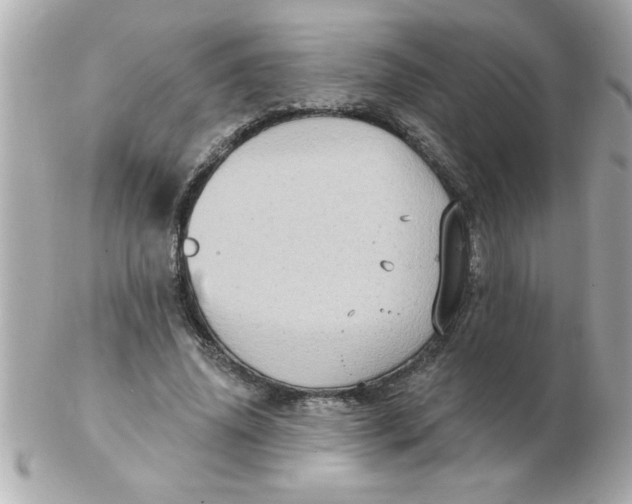 X0000102530636200808291820