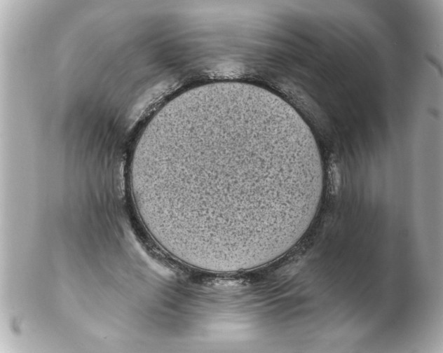 X0000102530638200808291820