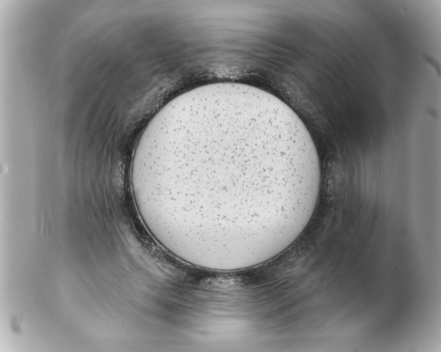 X0000102530639200808291821