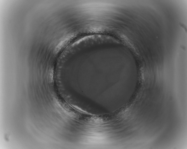 X0000102530640200808291821
