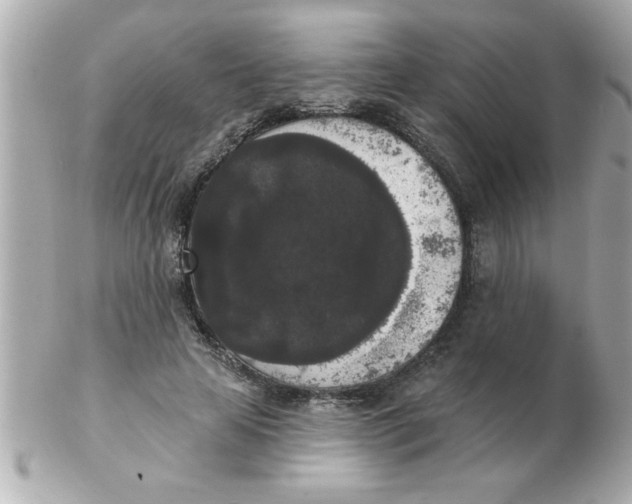 X0000102530641200808291821
